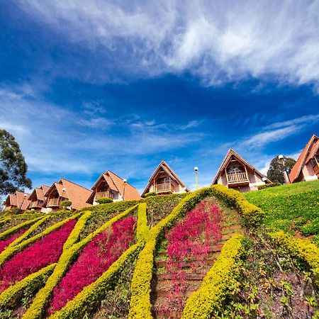 Chalets Suizos Villa Zapatoca Esterno foto